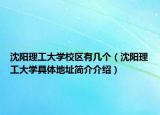 沈陽理工大學(xué)校區(qū)有幾個(gè)（沈陽理工大學(xué)具體地址簡(jiǎn)介介紹）