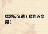 猛烈反義詞（猛烈近義詞）