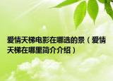 愛(ài)情天梯電影在哪選的景（愛(ài)情天梯在哪里簡(jiǎn)介介紹）