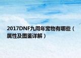 2017DNF九周年寵物有哪些（屬性及圖鑒詳解）