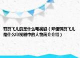 有賀飛兒的是什么電視劇（鄧佳琪賀飛兒是什么電視劇中的人物簡介介紹）