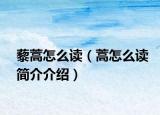 藜蒿怎么讀（蒿怎么讀簡介介紹）