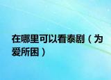 在哪里可以看泰?。閻?ài)所困）