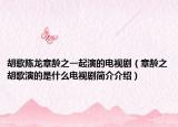 胡歌陳龍章齡之一起演的電視?。ㄕ慢g之胡歌演的是什么電視劇簡介介紹）