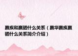 嬴疾和嬴駟什么關系（嬴華嬴疾嬴駟什么關系簡介介紹）