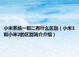 小米系統(tǒng)一和二有什么區(qū)別（小米1和小米2的區(qū)別簡(jiǎn)介介紹）