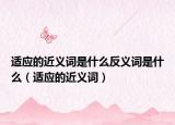 適應(yīng)的近義詞是什么反義詞是什么（適應(yīng)的近義詞）