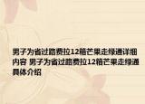 男子為省過路費拉12箱芒果走綠通詳細(xì)內(nèi)容 男子為省過路費拉12箱芒果走綠通具體介紹