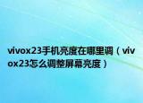 vivox23手機(jī)亮度在哪里調(diào)（vivox23怎么調(diào)整屏幕亮度）