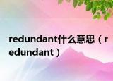 redundant什么意思（redundant）