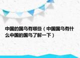 中國(guó)的國(guó)鳥(niǎo)有哪些（中國(guó)國(guó)鳥(niǎo)有什么中國(guó)的國(guó)鳥(niǎo)了解一下）