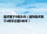 翼虎屬于B級(jí)車嗎（福特翼虎屬于a級(jí)車還是b級(jí)車）