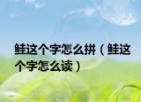 鮭這個(gè)字怎么拼（鮭這個(gè)字怎么讀）