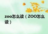 zoo怎么讀（ZOO怎么讀）
