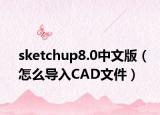 sketchup8.0中文版（怎么導入CAD文件）