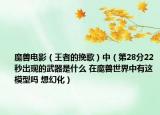 魔獸電影（王者的挽歌）中（第28分22秒出現(xiàn)的武器是什么 在魔獸世界中有這模型嗎 想幻化）