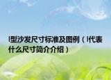 l型沙發(fā)尺寸標(biāo)準(zhǔn)及圖例（l代表什么尺寸簡(jiǎn)介介紹）