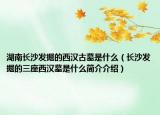 湖南長沙發(fā)掘的西漢古墓是什么（長沙發(fā)掘的三座西漢墓是什么簡介介紹）