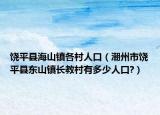 饒平縣海山鎮(zhèn)各村人口（潮州市饒平縣東山鎮(zhèn)長教村有多少人口?）