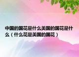 中國的國花是什么美國的國花是什么（什么花是美國的國花）