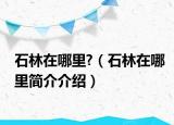 石林在哪里?（石林在哪里簡介介紹）