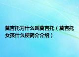 莫吉托為什么叫莫吉托（莫吉托女孩什么梗簡介介紹）