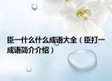 臣一什么什么成語大全（臣打一成語簡介介紹）