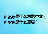 piggy是什么意思中文（piggy是什么意思）