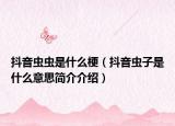 抖音蟲蟲是什么梗（抖音蟲子是什么意思簡介介紹）