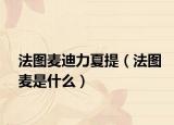 法圖麥迪力夏提（法圖麥?zhǔn)鞘裁矗? /></span></a>
                        <h2><a href=