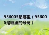 956005是哪里（956005是哪里的號(hào)碼）