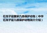 石龍子是國家?guī)准壉Ｗo(hù)動物（中華石龍子是幾級保護(hù)動物簡介介紹）