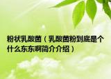 粉狀乳酸菌（乳酸菌粉到底是個什么東東啊簡介介紹）