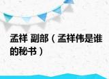 孟祥 副部（孟祥偉是誰的秘書）