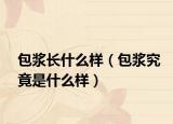 包漿長什么樣（包漿究竟是什么樣）