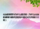 山治的懸賞令為什么是活捉（為什么山治的通緝令要求活捉而不是無論生死簡介介紹）