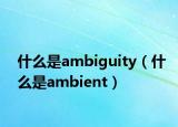 什么是ambiguity（什么是ambient）