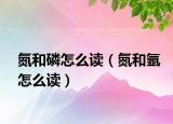 氮和磷怎么讀（氮和氬怎么讀）