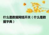 什么是數(shù)據(jù)網(wǎng)絡(luò)開關(guān)（什么是數(shù)據(jù)字典）