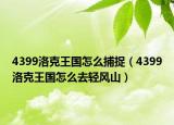 4399洛克王國(guó)怎么捕捉（4399洛克王國(guó)怎么去輕風(fēng)山）