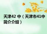 天津42 中（天津市41中簡(jiǎn)介介紹）