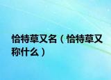恰特草又名（恰特草又稱什么）