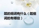踏的組詞有什么（踏組詞的有哪些）