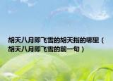 胡天八月即飛雪的胡天指的哪里（胡天八月即飛雪的前一句）