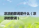 涼涼的歌詞是什么（涼涼的歌詞）