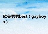 歐美男男best（gayboys）