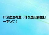 什么壺沒有蓋（什么壺沒有蓋打一字\