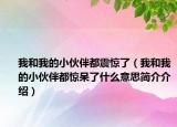 我和我的小伙伴都震驚了（我和我的小伙伴都驚呆了什么意思簡介介紹）