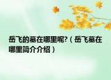 岳飛的墓在哪里呢?（岳飛墓在哪里簡介介紹）