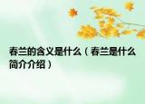 春蘭的含義是什么（春蘭是什么簡介介紹）